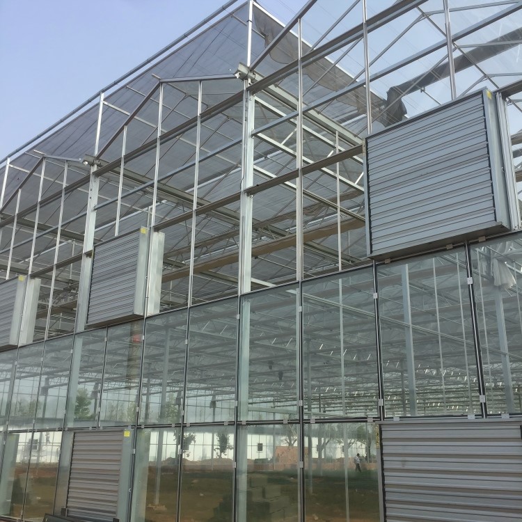Galvanized Pipe Greenhouse Frame