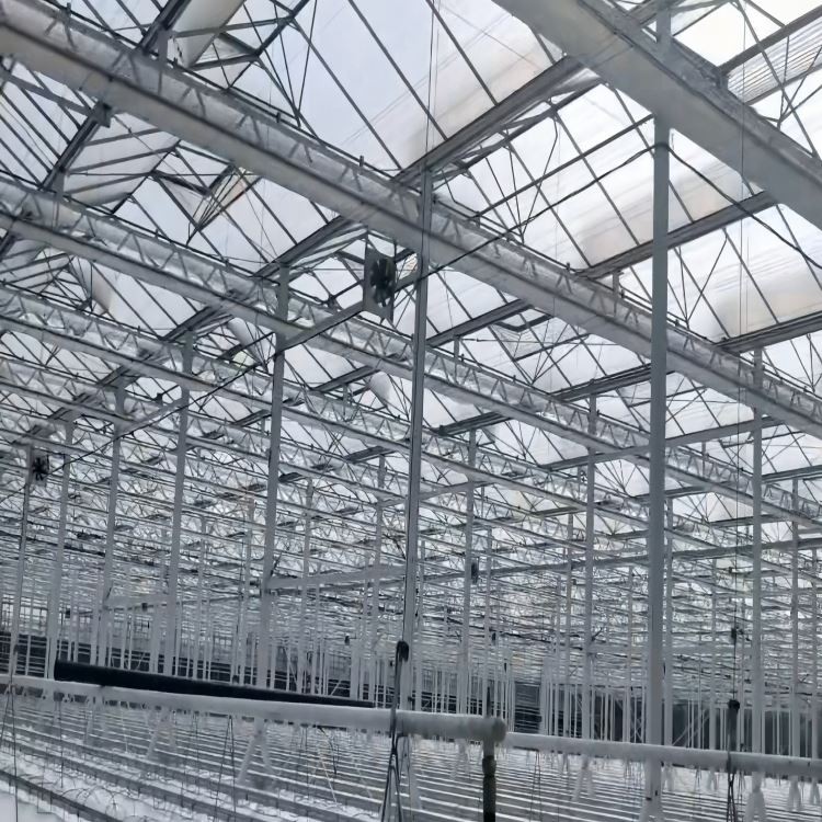 Greenhouse Shade Structure