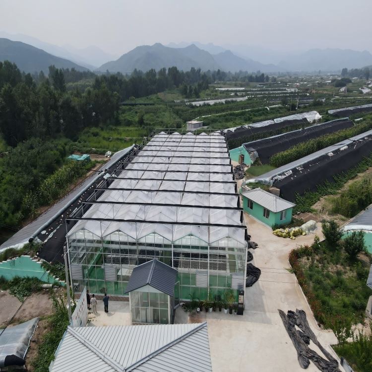 هيكل الدفيئة