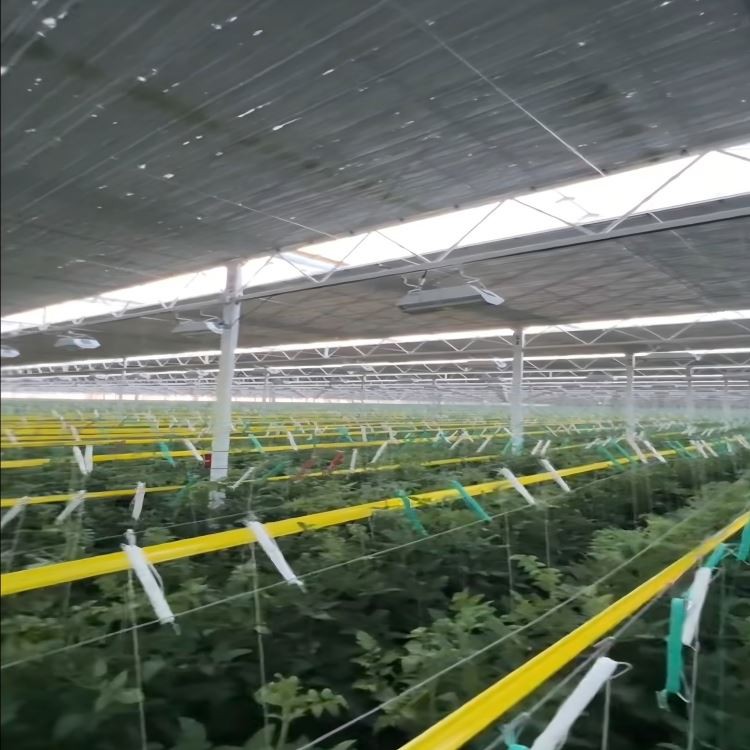 معدات الدفيئة