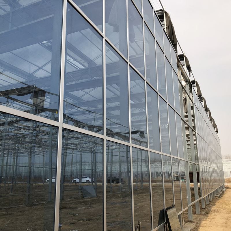 Small Glass Greenhouse