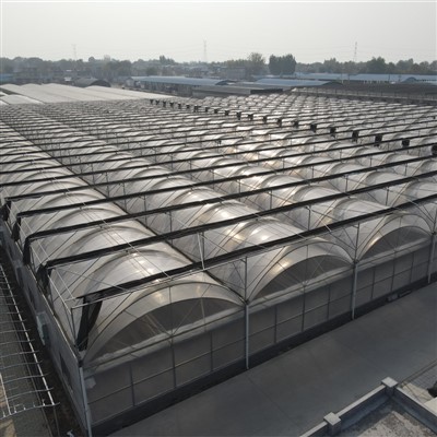 متعدد سبان الدفيئة